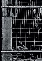 Το μυθιστόρημα ενός ανθρώπου δίχως πεπρωμένο
