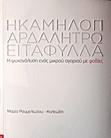 Η καμηλοπάρδαλη τρώει τα φύλλα
