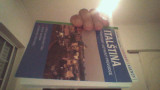 Italstina