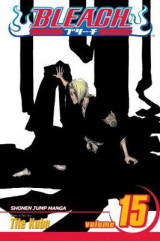 Bleach, Vol. 15 v. 15