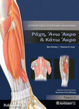 ΣΥΝΟΠΤΙΚΗ ΕΓΧΡΩΜΗ ΑΝΑΤΟΜΙΑ LIPPINCOTT (ΤΟΜΟΣ Α')