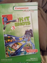 Hot shots 3 companion with key