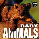 Baby Animals