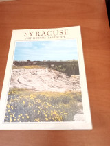 Syracuse art history landscape