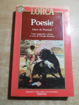 Poesie libro de poemas