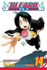 Bleach, Vol. 14 v. 14