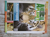 Animal planet
