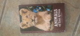 Animals of East Africa