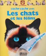 Les chats et les felins