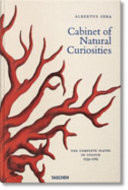 Cabinet of Natural Curiosities