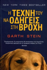 Η ΤΕΧΝΗ ΤΟΥ ΝΑ ΟΔΗΓΕΙΣ ΣΤΗ ΒΡΟΧΗ