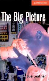 The Big Picture Level 1 Beginner/Elementary