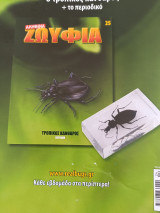 Αληθινά Ζωύφια - Τευχος 25 Τροπικός Κάνθαρος